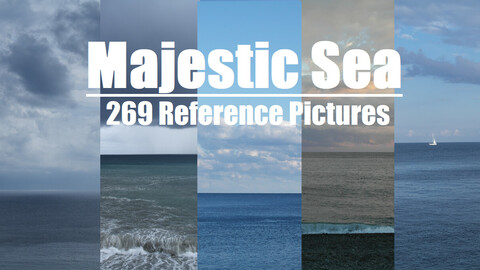 Majestic Sea 269+ Photo Reference Pictures