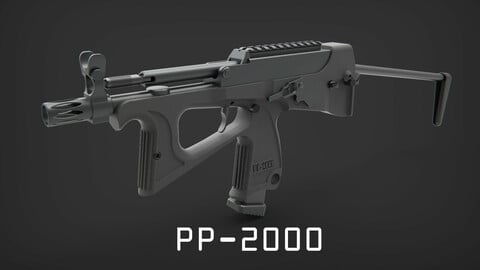 PP-2000