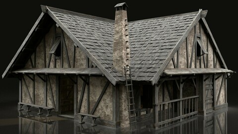 ENTERABLE AAA NEXT GEN MEDIEVAL CITY TOWN HOUSE COTTAGE
