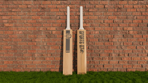 3D Cricket Bat