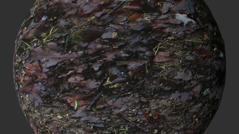 Fall Ground 1 PBR Material