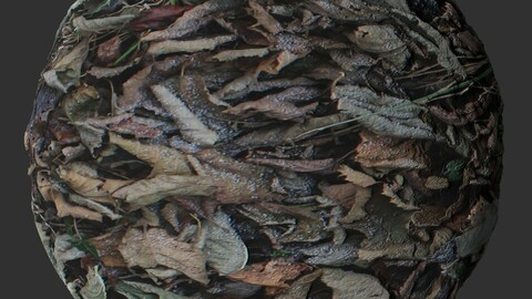 Fall Leaf Ground 1 PBR Material