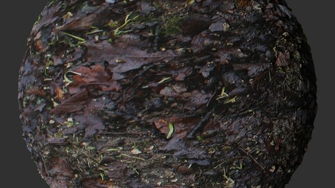 Wet Ground Fall 1 PBR Material