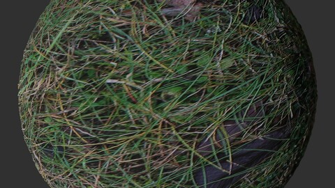 Wet Grass 1 PBR Material
