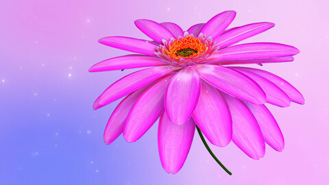 Daisy Flower Animated 3D model