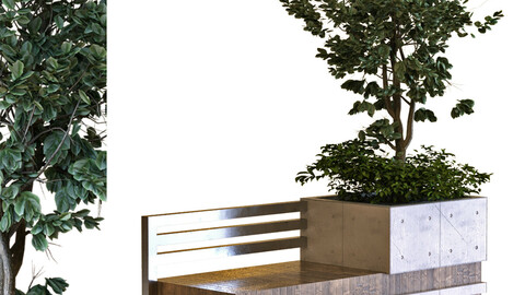 tree in box set030 bench (PBR MTL)