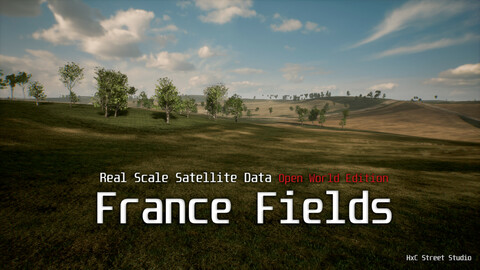 France Fields - Real Scale Satellite Data (UE4 Open World)