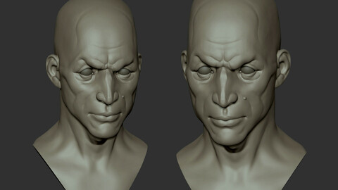 Basemesh head