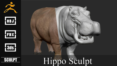 Hippopotamus Sculpt