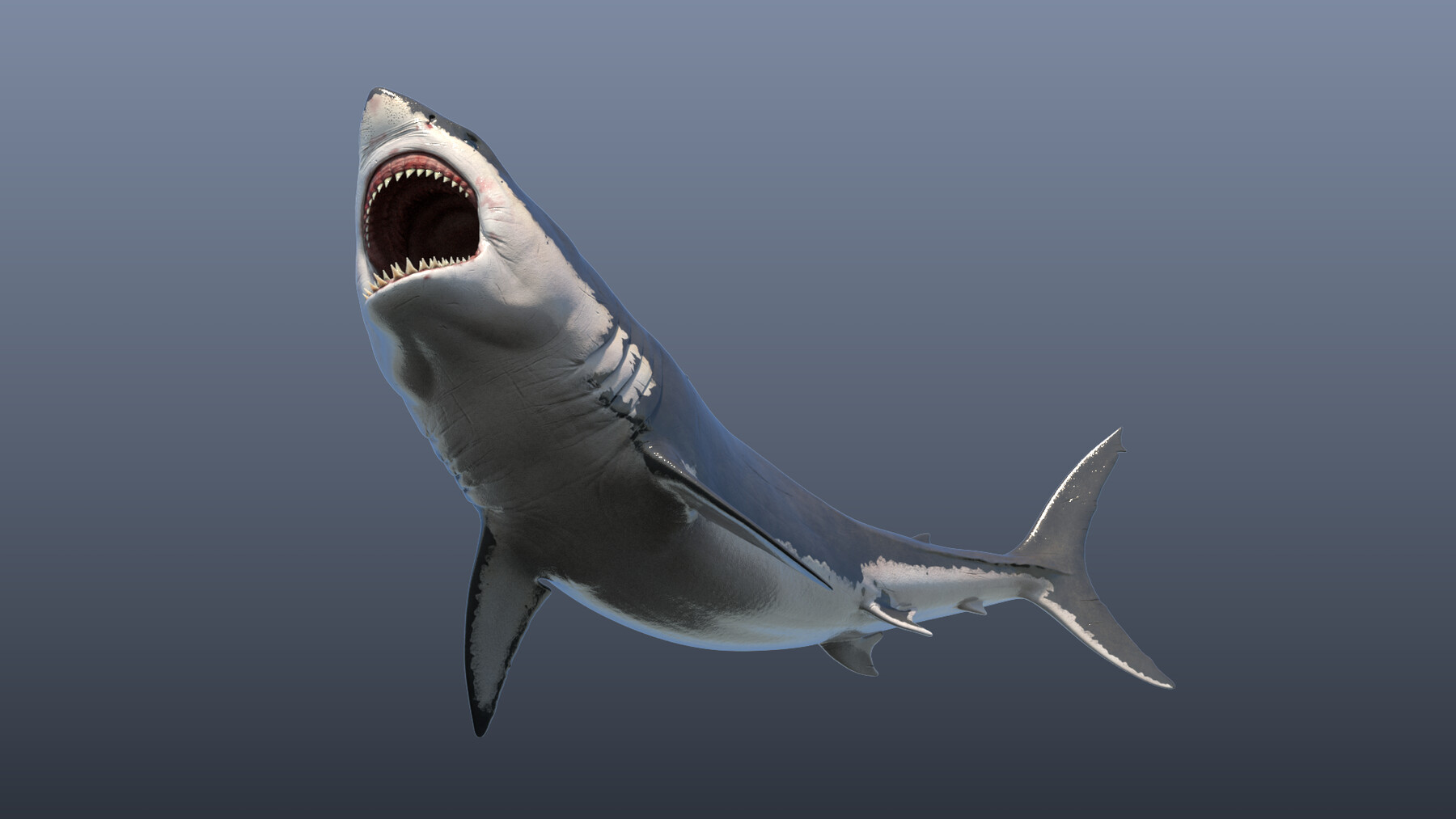 Great White Shark, 3D CAD Model Library