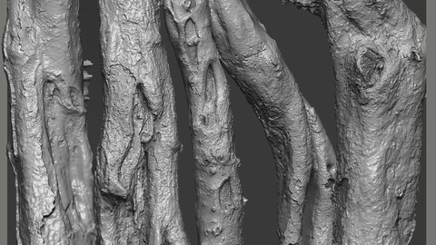 Z brush - Trunk Detail Brushes 2 Volume