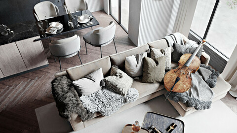 Living room and kitchen