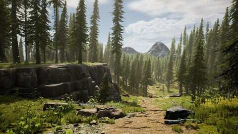 Spruce Forest (UE4)