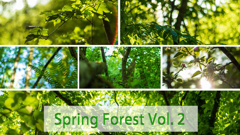 Spring Forest Vol. 2