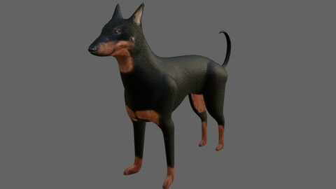 Dog Doberman - Low poly and High poly - Cachorro 3D model