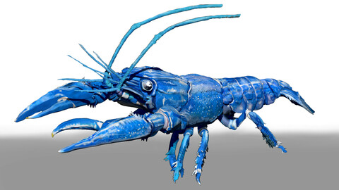 Blue Crawfish ZTL Sculpt and Polypaint