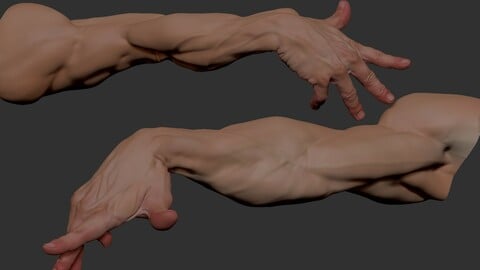 Arms Gesture4