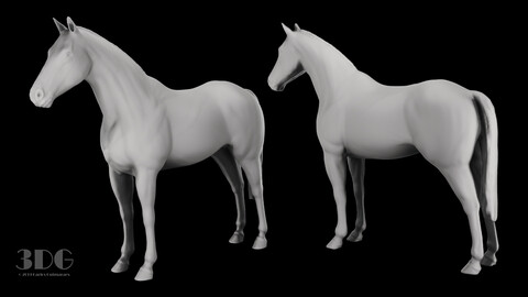 Horse Sculpt