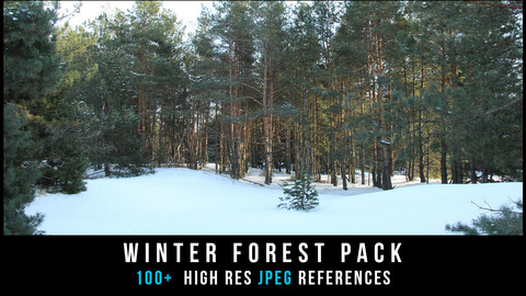 Winter forest pack