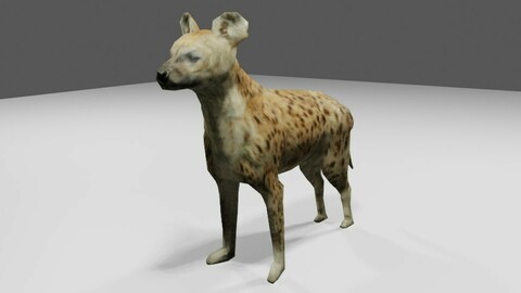 Hyena low and high poly 3D model