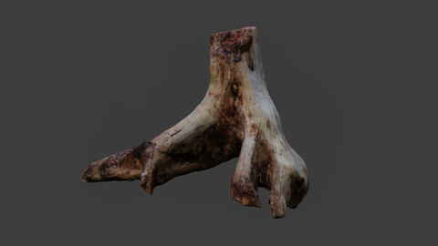 Photoscanned Tree Trunk