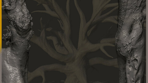 Z brush - Trunk Detail Brushes 1 Volume