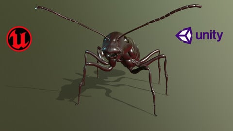 Worker_Ant