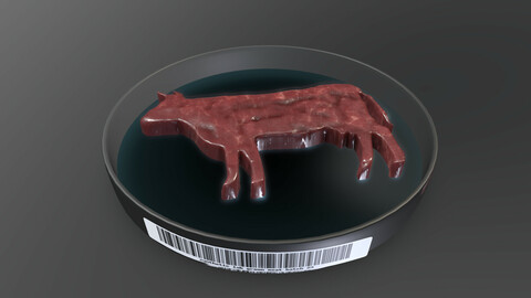 Lab Grown Meat