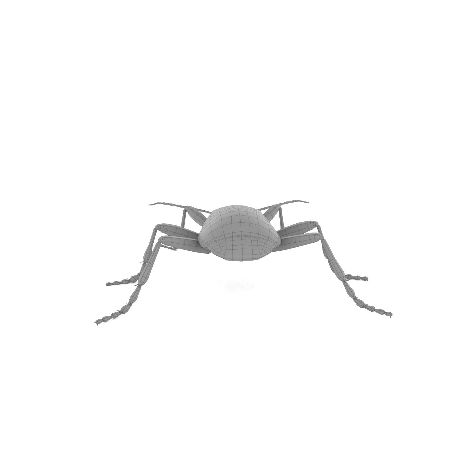 ArtStation Bombardier Beetle Resources