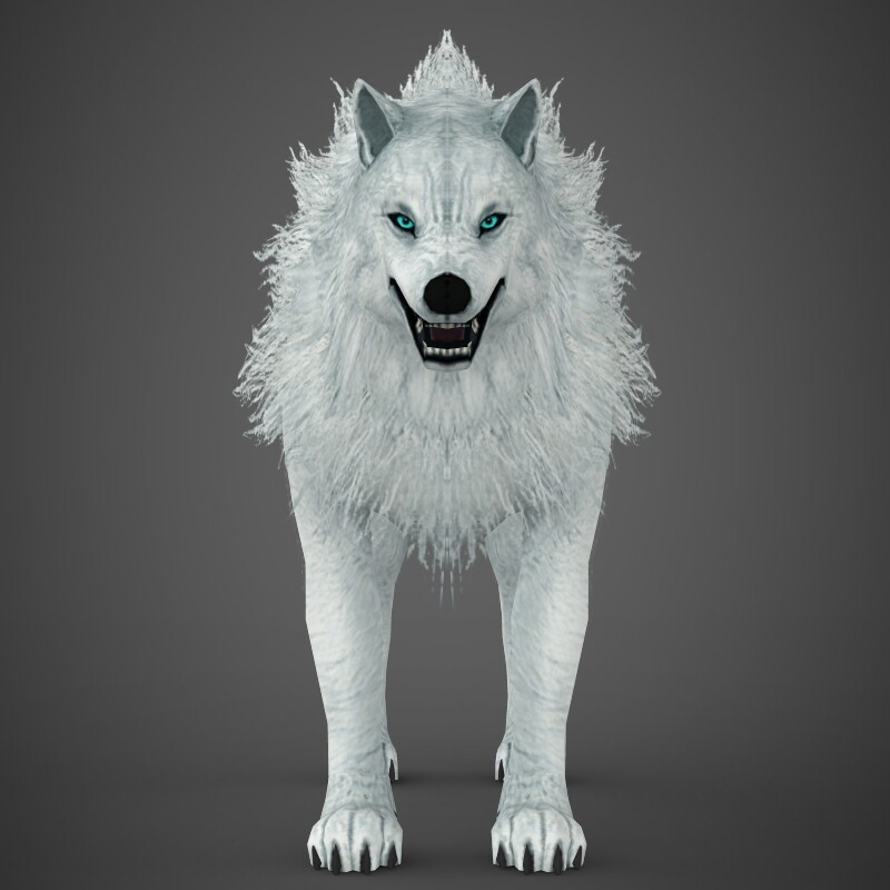 Item:Web Camera, White Wolf Wiki