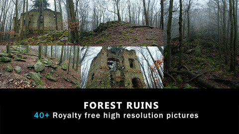 Forest Ruins