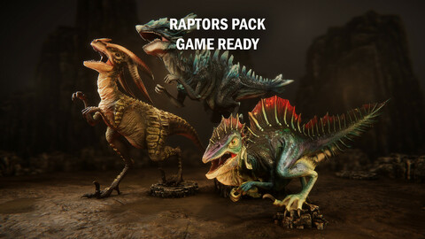 Raptors pack