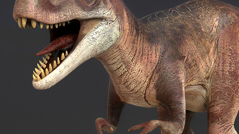 Young Trex Dinosaur 3D Model