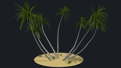 Palms