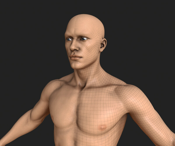 Artstation Realistic Human Male Basemesh Game Assets