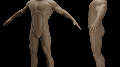 Anatomy Sculpt
