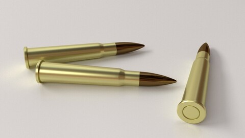 Ammunition 303