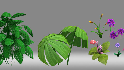 plant Tropical plants