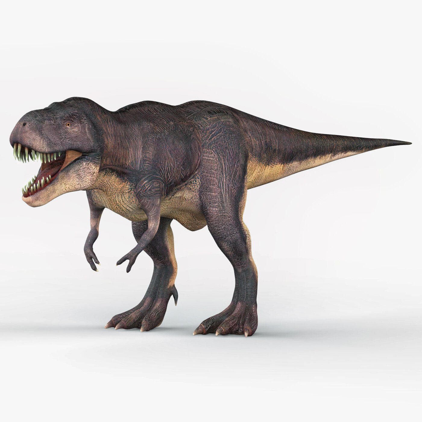 ArtStation - Tyrannosaurus Rex Trex Dinosaur 3D Monster Animal