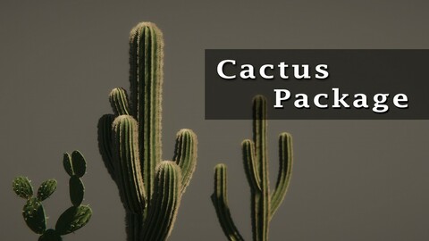 Cactus Package