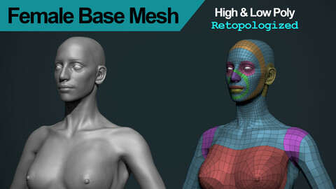 Female Base Mesh (High and Low Poly)