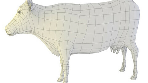 Cow base mesh