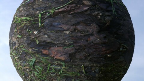 Wet Ground Fall 3 PBR Material