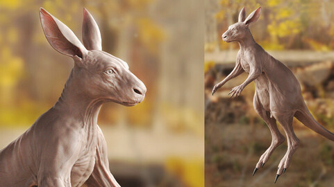 KANGAROO- sculpt/retopology/uvs