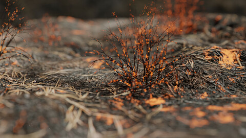 Burned Ground 3D model
