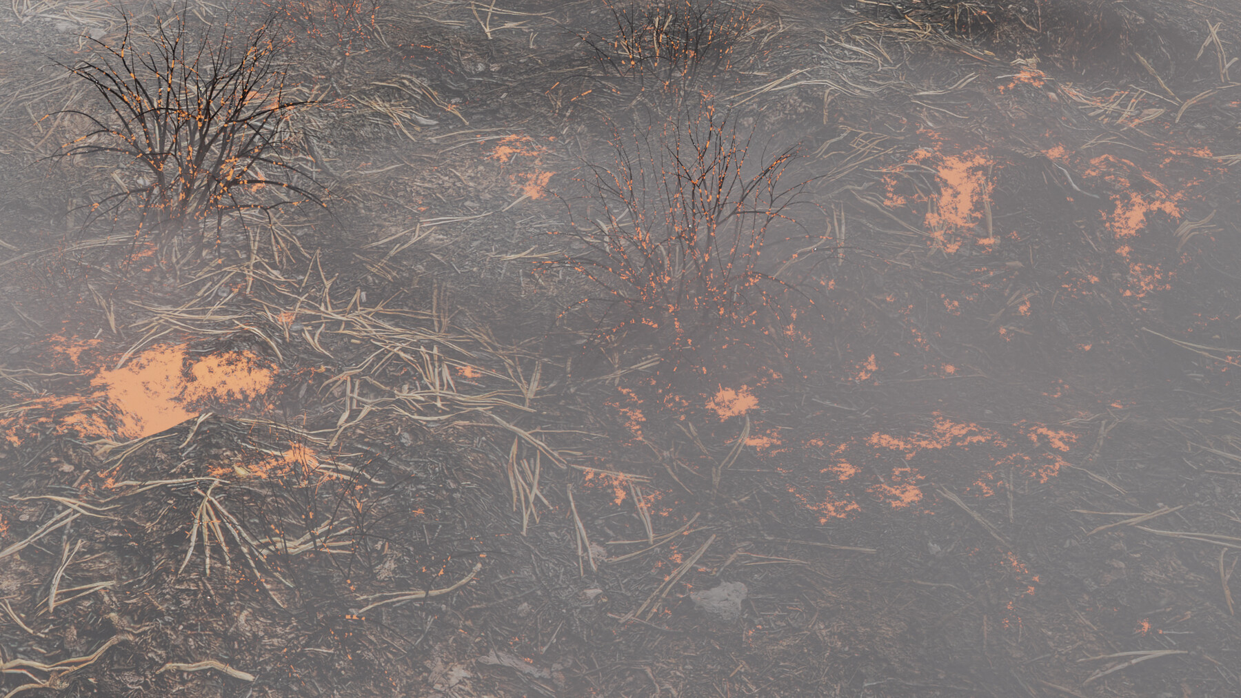 ArtStation - Burned Ground 3D model | Resources