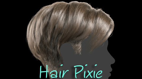 Female hairdo pixie
