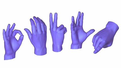 Male Hands models 5