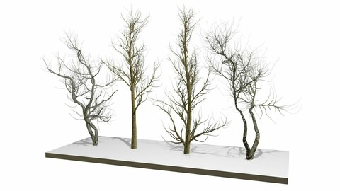 Bare trees Low-poly