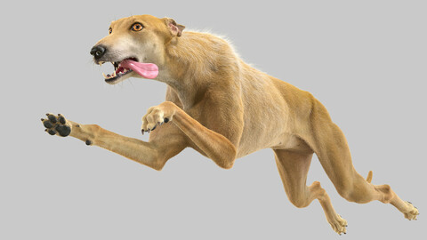 Greyhound Brown Fur Rigged